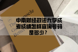 中南财经政法大学成考成绩怎样查询号码是多少？