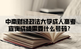 中南财经政法大学成人高考查询成绩需要什么号码？