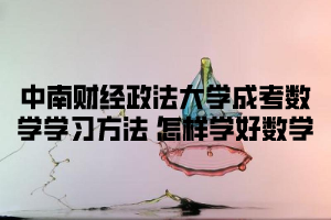 中南财经政法大学成考数学学习方法 怎样学好数学
